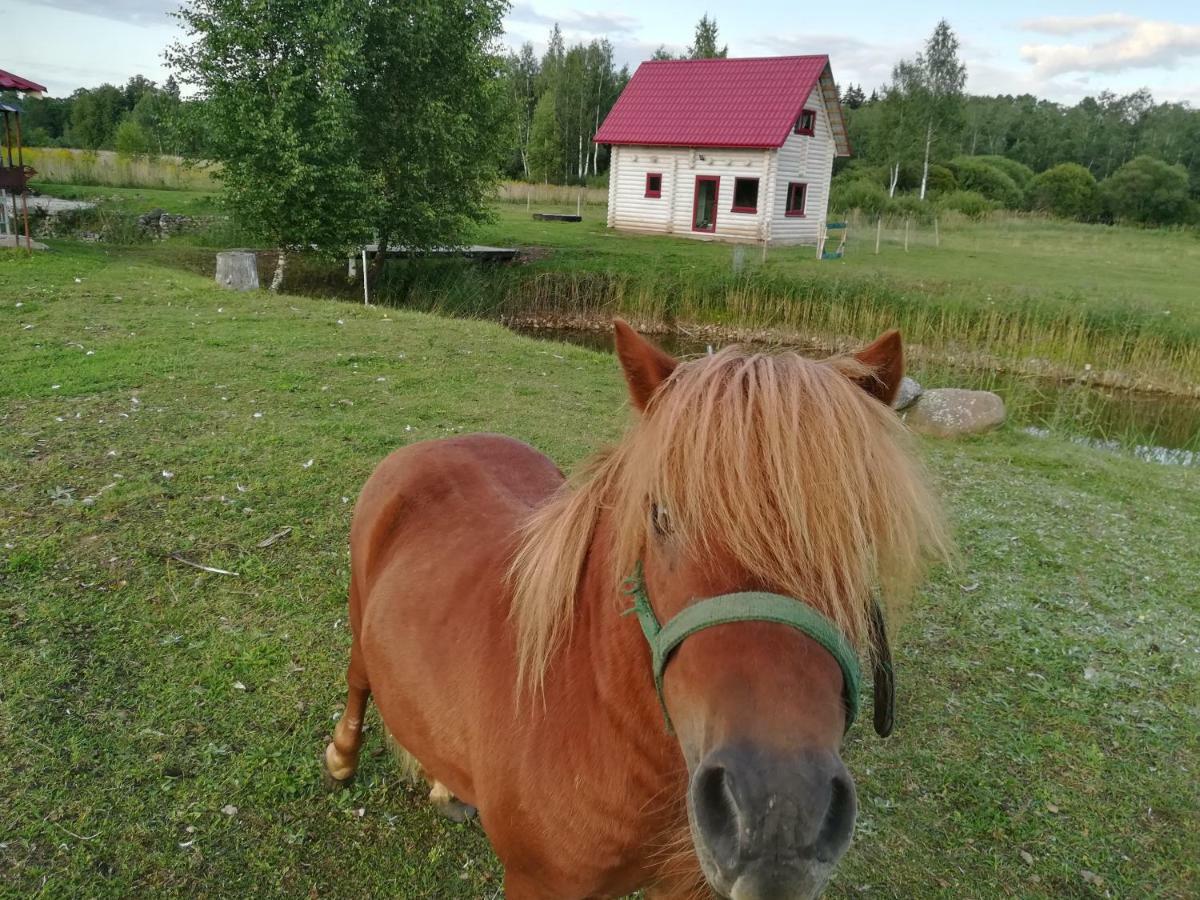 Summerland Tinuzi Экстерьер фото