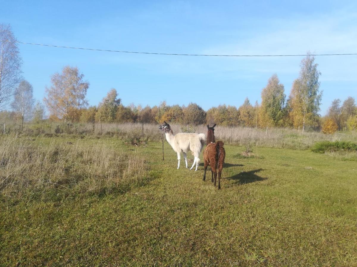Summerland Tinuzi Экстерьер фото